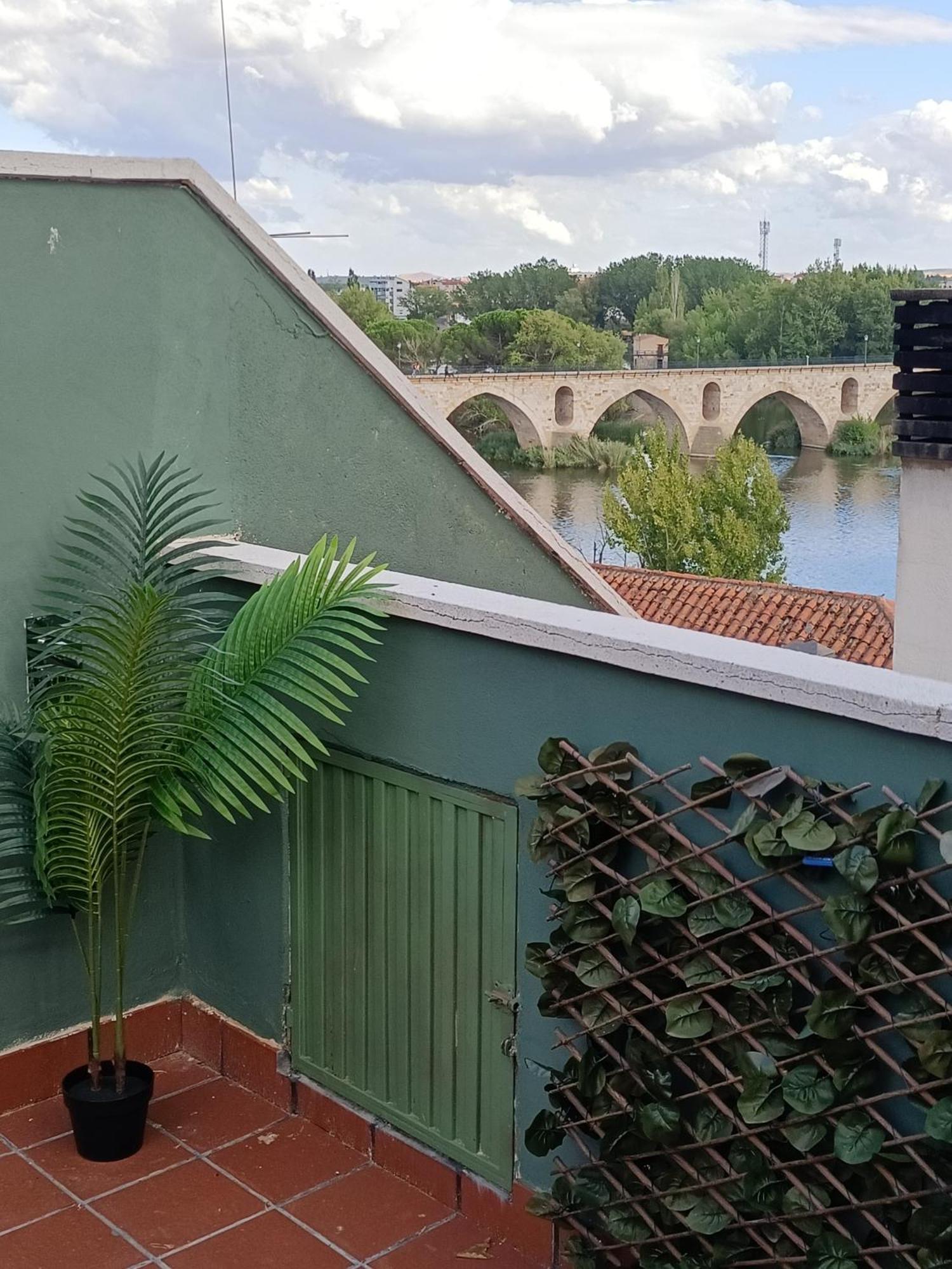 Pepinos * Zamora